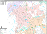 Cedar Park Wall Map Premium Style